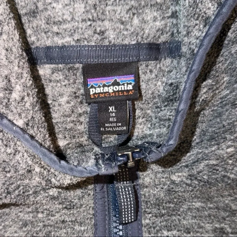 Patagonia Kids Heathered Gray Hoodie